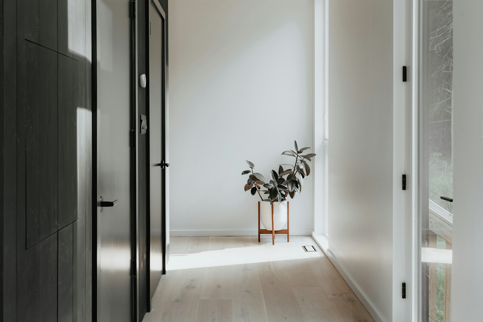 Seasonal or One-Time Cleaning